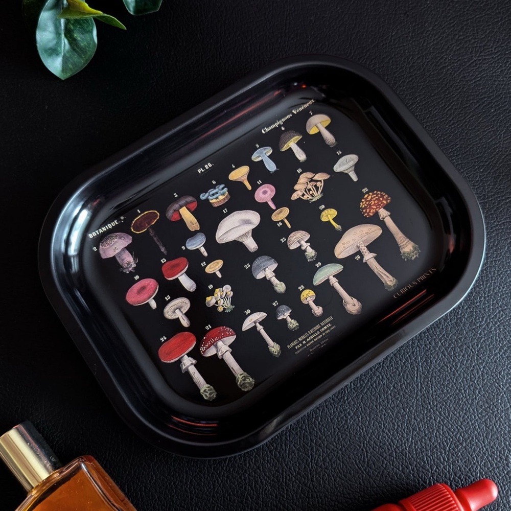 Curious Prints Mushroom Metal Catch-All Tray
